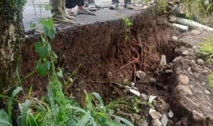 BPBD Kota Bogor Langsung Tangani 17 Kejadian