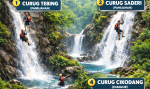 ChatGPT Image Feb 11, 2026, 12_28_40 PM